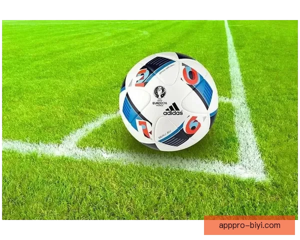 美加墨世界杯投注市场分析及投资机会探讨